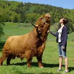 Hotel Schieferhof - Glaslust