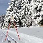 Hotel Schieferhof - Glaslust 4*