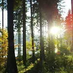 Hotel Schieferhof - Glaslust