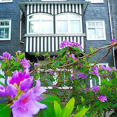 Schieferhof - Glaslust