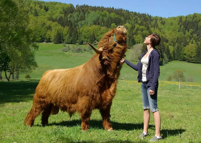 ホテル Schieferhof - Glaslust