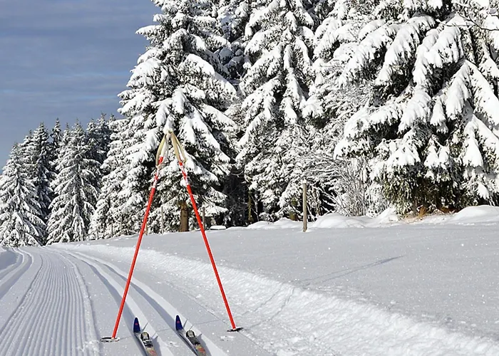 Otel Schieferhof - Glaslust 4*