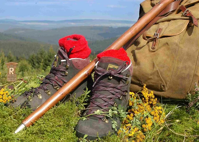 Schieferhof - Glaslust 4* ノイウハウス・アム・レンヴェーク