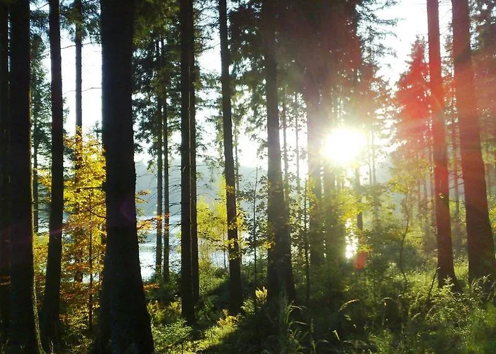 Otel Schieferhof - Glaslust